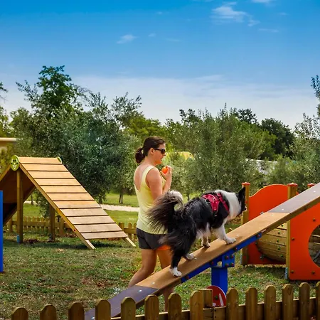 Camping Aminess Planet Maravea - Pitches *